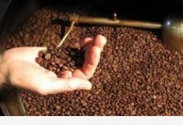 LỚP RANG XAY CÀ PHÊ CƠ BẢN (ROASTING-BASIC) 1